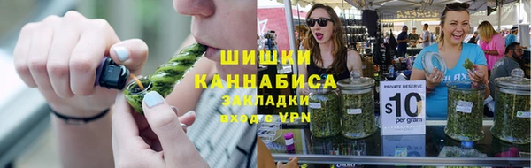 ПСИЛОЦИБИНОВЫЕ ГРИБЫ Тавда