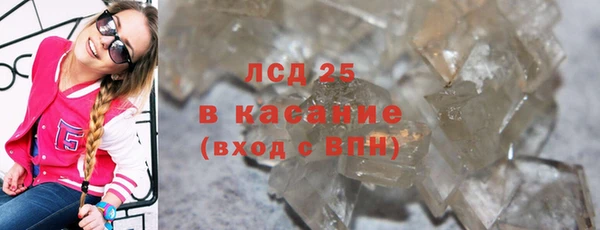 ПСИЛОЦИБИНОВЫЕ ГРИБЫ Тавда