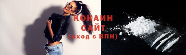 СК Тайга
