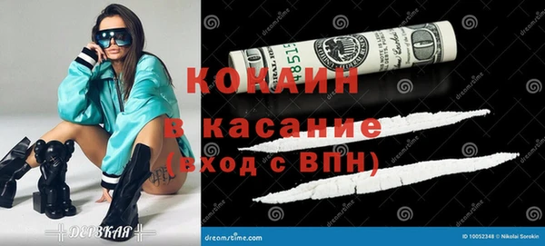 СК Тайга
