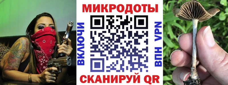 Купить  Горбатов  Галлюциногенные грибы мицелий 